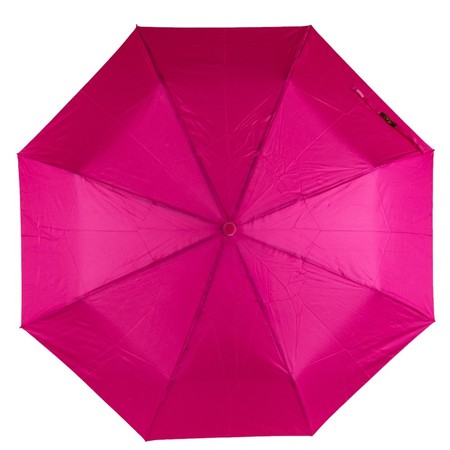Жіночий парасолька напівавтомат SL21302-1 купити недорого в Ти Купи