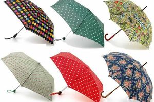 Выбор зонта