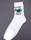 Шкарпетки ISSA PLUS GNS-188 40-44 білий