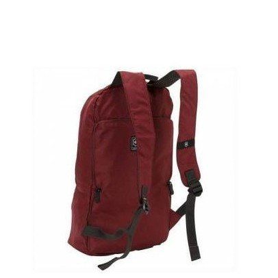Червоний рюкзак Victorinox Travel ACCESSORIES 4.0 / Red Vt601496 купити недорого в Ти Купи