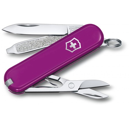 Складной нож Victorinox CLASSIC SD Colors 0.6223.52G купить недорого в Ты Купи