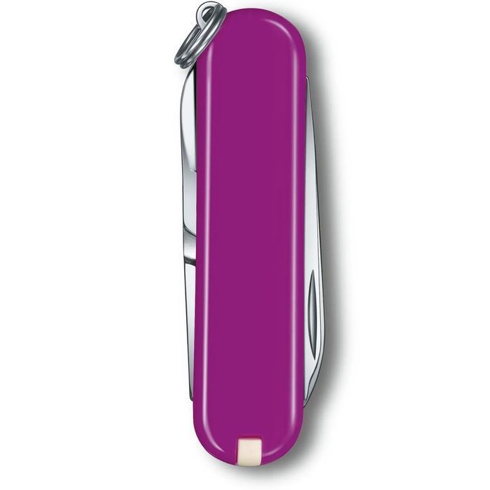 Складной нож Victorinox CLASSIC SD Colors 0.6223.52G купить недорого в Ты Купи