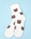 Шкарпетки ISSA PLUS NS-347 36-41 білий/коричневий