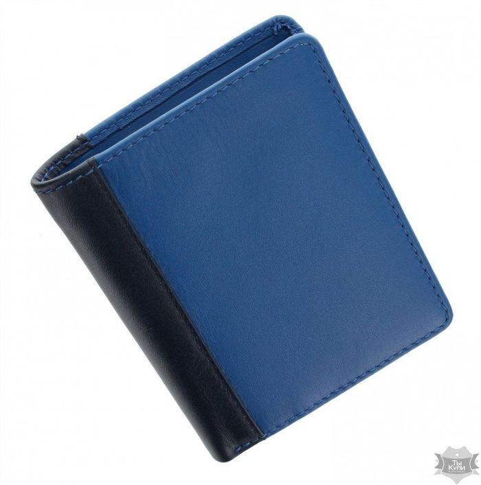 Бумажник Visconti Lucca LC36 BLUE MULTI купить недорого в Ты Купи