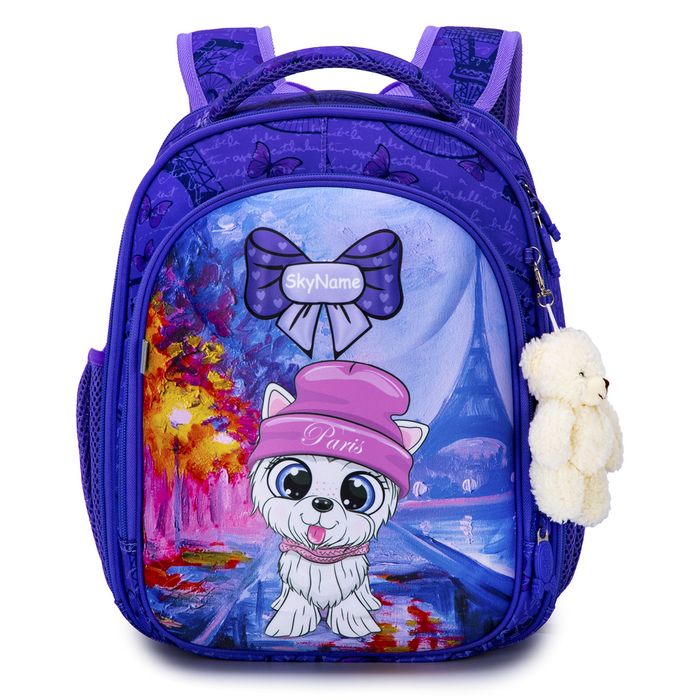 Шкільний рюкзак для дівчат Skyname R4-413 купити недорого в Ти Купи