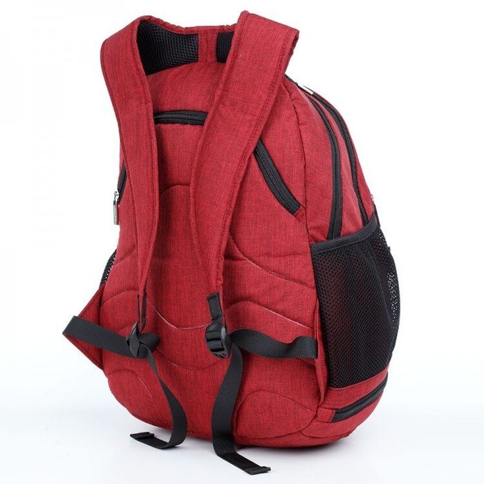 Шкільний рюкзак Dolly 384 червоний купити недорого в Ти Купи