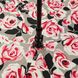 Женский зонт-трость полуавтомат Fulton Bloomsbury-2 L754 - Painted Roses (Рисованные розы)