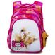 Рюкзак школьный для девочек SkyName R2-184