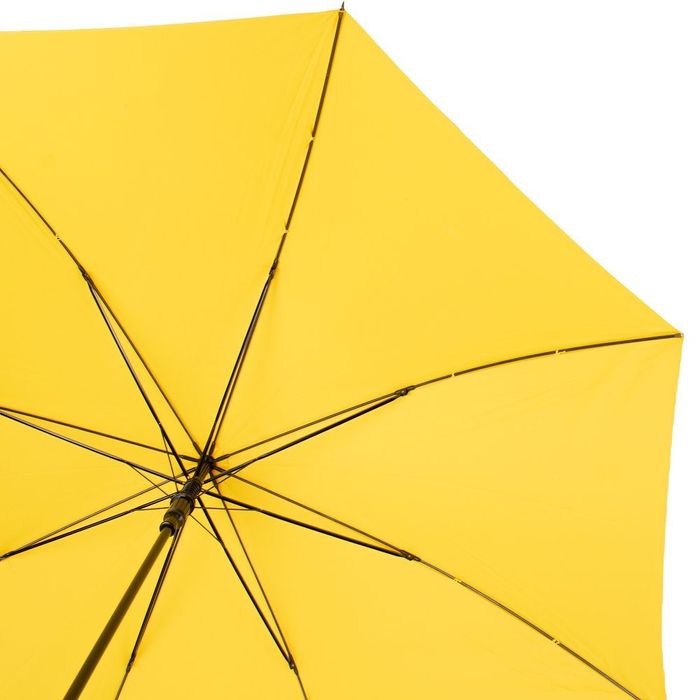 Зонт-трость женский полуавтомат HAPPY RAIN U00108 купить недорого в Ты Купи
