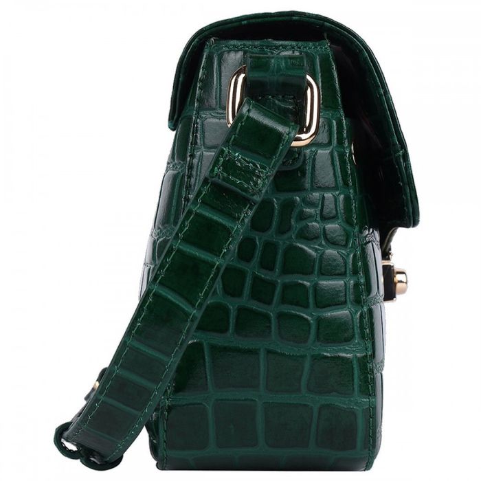 Жіноча шкіряна сумка Ashwood C50 Green (Зелений) купити недорого в Ти Купи
