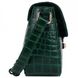Жіноча шкіряна сумка Ashwood C50 Green (Зелений)