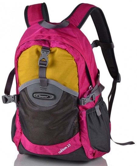 Рюкзак для ребенка ONEPOLAR w1581-pink купить недорого в Ты Купи