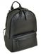 Чоловічий шкіряний рюкзак BRETTON Be 2004-1 black