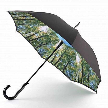 Женский зонт полуавтомат Fulton Bloomsbury-2 L754 Sunburst (Солнечные Лучи) купить недорого в Ты Купи