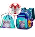Набор школьный для девочки рюкзак Winner /SkyName R3-242 + мешок для обуви (фирменный пенал в подарок)