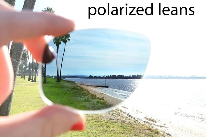 Чоловічі сонцезахисні окуляри з футляром Matrix polarized fp9815-2 купити недорого в Ти Купи