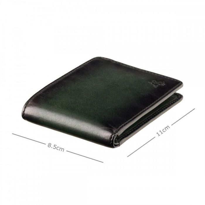 Мужской кожаный кошелек Visconti AT63 Roland c RFID (Burnish Green) купить недорого в Ты Купи