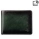 Visconti At63 Roland C RFID (Burnish Green) Шкіряний шкіряний гаманець