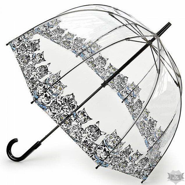 Женский механический прозрачный зонт-трость Fulton Birdcage-2 L042 - Bibis Cat купить недорого в Ты Купи
