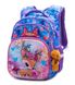 Шкільний рюкзак для дівчаток Winner /SkyName R3-230