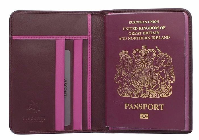 Обложка на паспорт Visconti RHODES RD-93 BY/PL купить недорого в Ты Купи