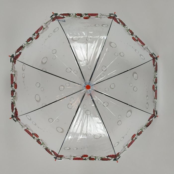 Прозрачный зонт-трость полуавтомат Feeling rain Прозрачный (1315-5) купить недорого в Ты Купи