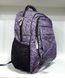 Рюкзак школьный Dolly-539 Сиреневый