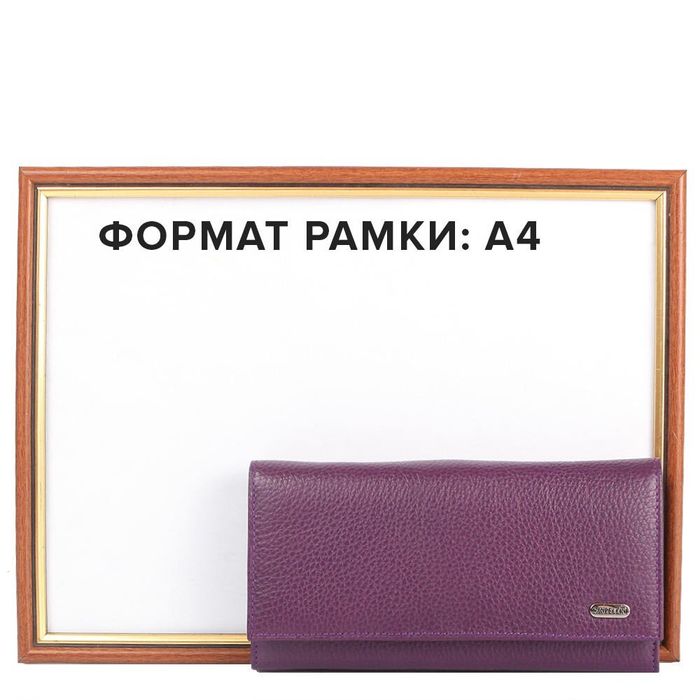 Жіночий шкіряний гаманець CANPELLINI SHI2034-95 купити недорого в Ти Купи