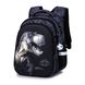 Шкільний рюкзак для хлопчиків Winner /SkyName R1-027