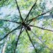 Зонт складной Fare 5593 лес Черный (732)