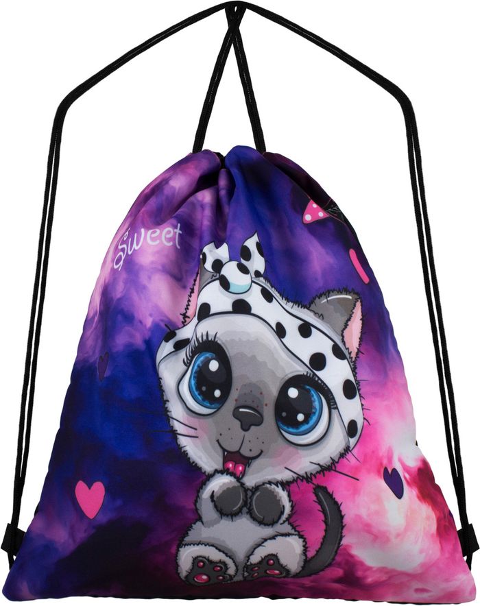 Шкільний рюкзак для дівчат Skyname R1-020 Повний набір купити недорого в Ти Купи
