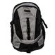 Городской рюкзак ONEPOLAR w1300-grey