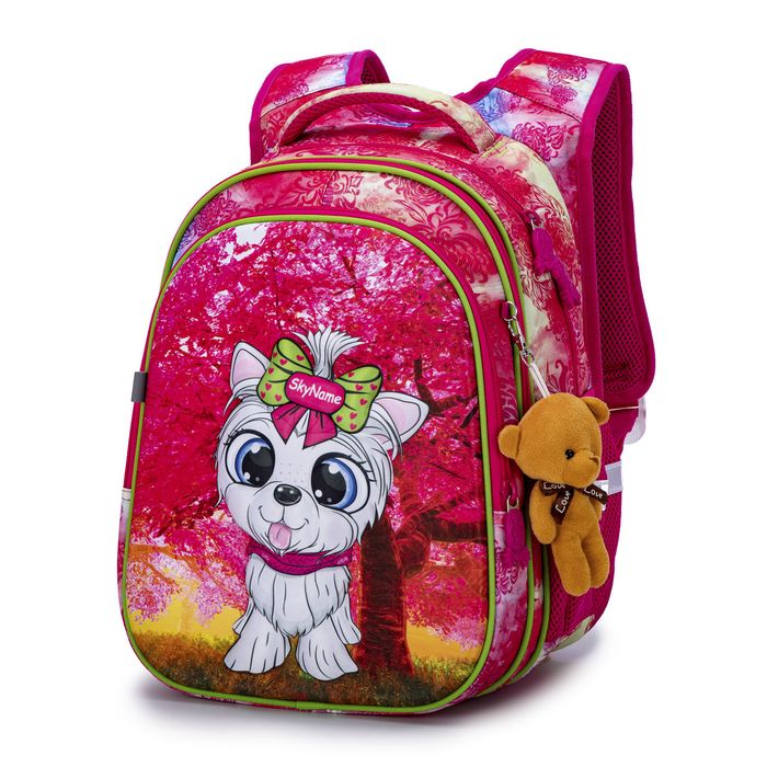 Шкільний рюкзак для дівчат Skyname R1-025 купити недорого в Ти Купи