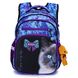 Шкільний рюкзак для дівчаток Winner/SkyName R3-246
