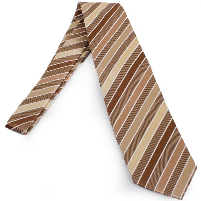 Краватка чоловіча SCHONAU - HOUCKEN FAREPS-55 купити недорого в Ти Купи