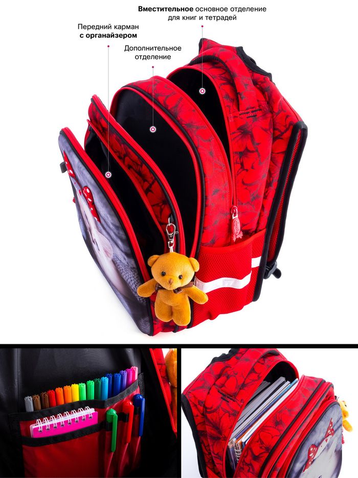 Рюкзак школьный для девочек SkyName R1-014 купить недорого в Ты Купи
