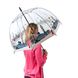Жіноча прозора механічна парасолька-тростина Fulton The National Gallery Birdcage-2