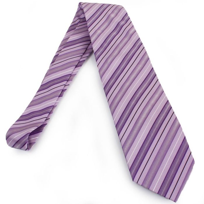 Краватка чоловіча SCHONAU - HOUCKEN FAREPS-61 купити недорого в Ти Купи