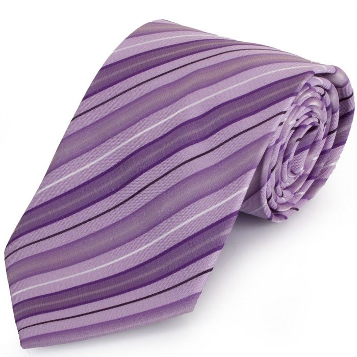 Краватка чоловіча SCHONAU - HOUCKEN FAREPS-61 купити недорого в Ти Купи