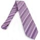 Краватка чоловіча SCHONAU - HOUCKEN FAREPS-61