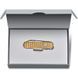 Складной нож Victorinox CLASSIC SD Precious Alox 0.6221.408G