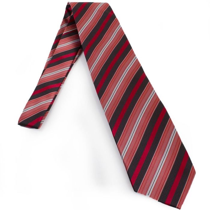 Краватка чоловіча SCHONAU - HOUCKEN FAREPS-68 купити недорого в Ти Купи