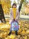 Шкільний рюкзак для дівчаток Winner /SkyName R4-411