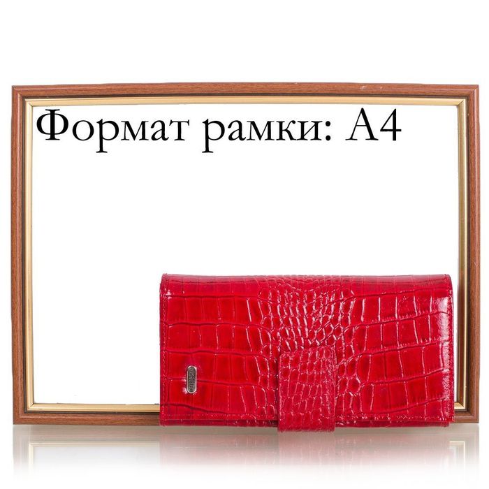 Женский кожаный красный кошелек CANPELLINI SHI700-142 купить недорого в Ты Купи