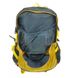 Желтый женский туристический рюкзак из полиэстера Power In Eavas 8421 yellow