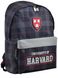 Рюкзак для підлітка YES TEEN 30х41х11 см 15 л для хлопчиків SP-15 Harvard black (555038)
