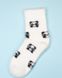 Шкарпетки ISSA PLUS NS-347 36-41 білий/чорний