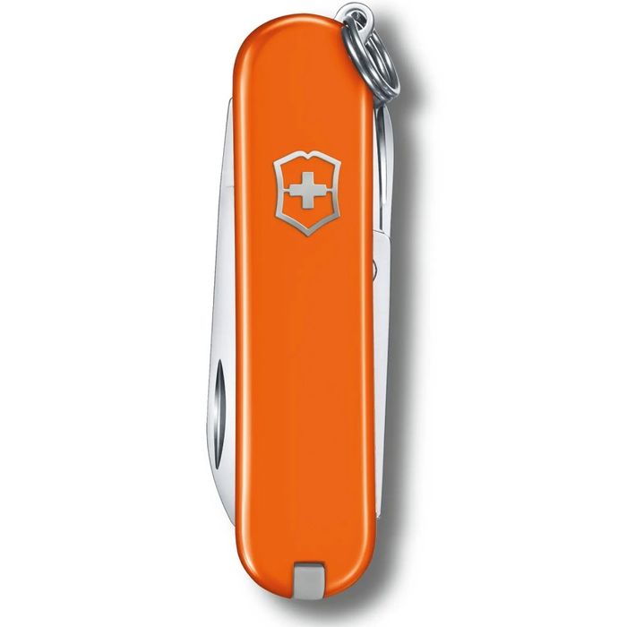 Складной нож Victorinox CLASSIC SD Colors 0.6223.83G купить недорого в Ты Купи