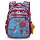 Шкільний рюкзак для дівчаток Winner /SkyName R3-244