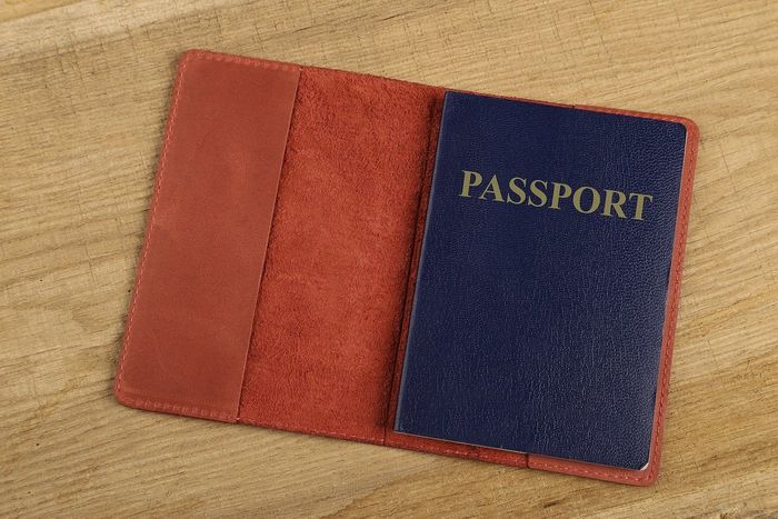 Обкладинка для паспорта з вінтажній шкіри SHVIGEL 13792 Червона купити недорого в Ти Купи